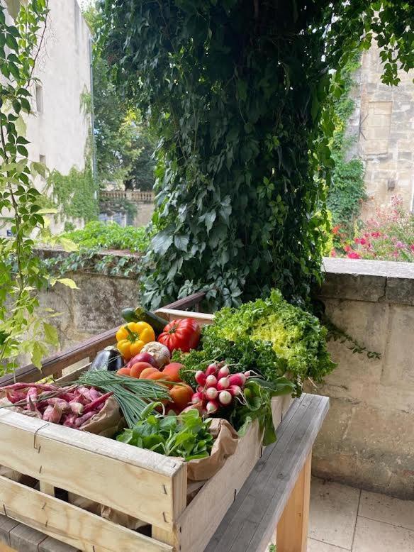 Holiday home Maison De Provencale 13150 Tarascon
